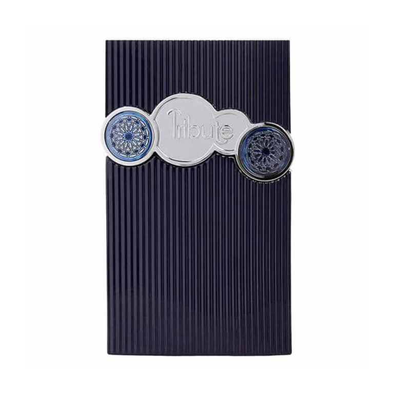 Tribute Blue Afnan Parfum Homme 100ml - Afnan - photo principale